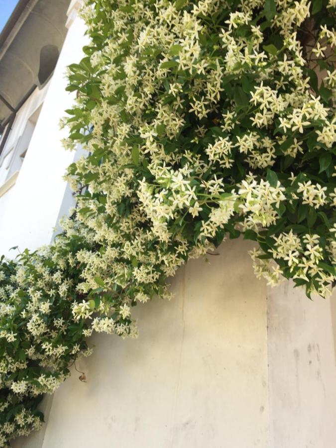 Villa Maldestra 리미니 외부 사진
